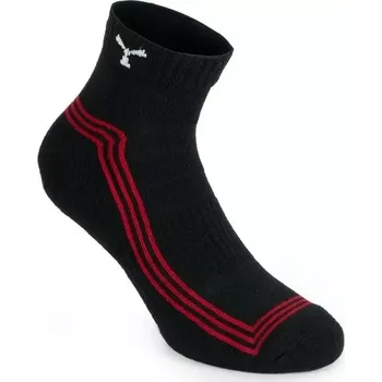 Pánské ponožky PAYPER ROGER kotníkové ponožky BA/PES-3 páry - 43-46