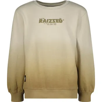 Dívčí mikina RAIZZED® Hellbraun/ Beige 7597648 164