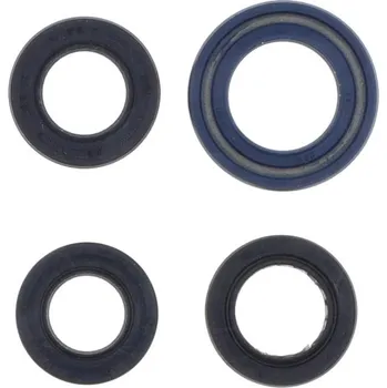 Centauro Gufera motoru sada Zoomer 02-12 666A993SR