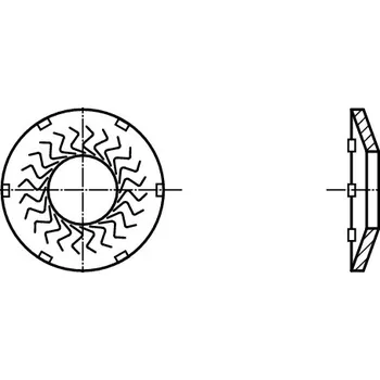 podložka PROFISTYL TECKENTRUP podložka forma K - s kontaktními výstupky pro šroub v pevnostech 5.8-10.9 nerez A4 Varianta: Podložka TECKENTRUP K nerez A4 5,1x10,2x1mm