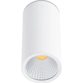 REL 75 stropní svítidlo, bílá - FARO