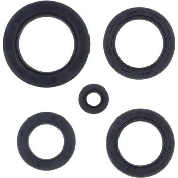 Centauro Gufera motoru sada Pantheon 125-150 2T 98-02 666A010SR