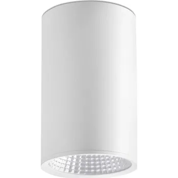 REL 100 stropní svítidlo, bílá - FARO