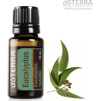 Vůně do bytu doTERRA - Eucalyptus 15 ml (esenciální olej)