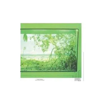 Zahraniční hudba LP Nikolaienko: Nostalgia Por Mesozo'ica (riso Printed Cover) 2024