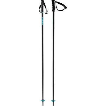 Sjezdová hůlka HEAD Multi Black/Speed Blue 2023/24 115 cm