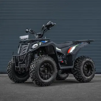 malá motorka Leramotors By APOLLO RFZ 250 T3B - čtyřkolka, černá sestavíme / zprovozníme / dovezeme / předvedeme na místě a zaškolíme / platí do 100 km od Litomyšle a to vše ZDARMA!