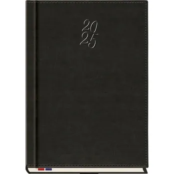 Diář Knižní diář pro podnikatele 2026 A4 Michalczyk I Prokop černý