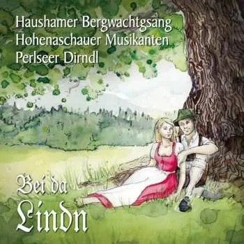 Zahraniční hudba CD Various: Bei Da Lindn 2013