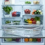 Plastový organizér / kontejner do chladničky COLD