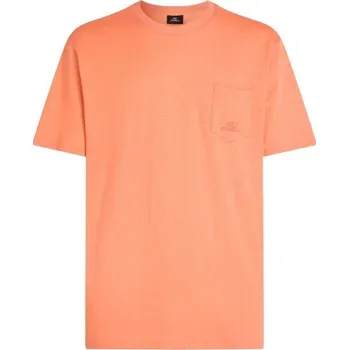 Pánská móda Pánské tričko O'Neill SLUB XXL Lososová