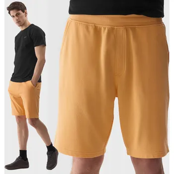 Pánská móda Pánské sportovní KRAŤASY 4F jaro/léto 2024