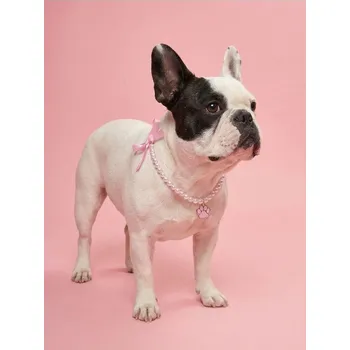 Obojek pro psa Sinsay - Ozdobný obojek pro mazlíčka s nastavitelnou velikostí - pastelová růžová - 809IA-03X - 809IA-03X-ONE