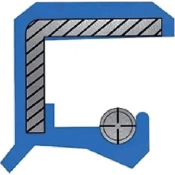 Motor pro motocykl Centauro Gufero 25x35x6/6,5 S250351V6