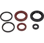 Centauro Gufera motoru sada Kymco 300 666A995SR