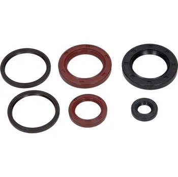 Centauro Gufera motoru sada Kymco 300 666A995SR