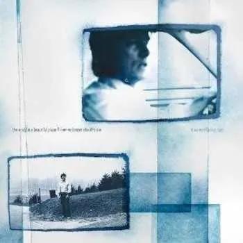 Zahraniční hudba CD The World Is A Beautiful Place & I Am No Longer Afraid To Die: Dreams Of Being Dust