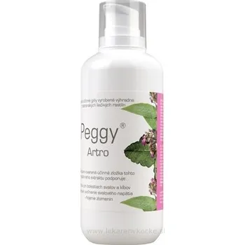 Masážní přípravek VUP a.s. PEGGY ARTRO GEL 500 g