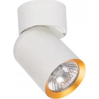 Stropní přisazené svítidlo Eko-Light 10 W GU10 6 cm bílé