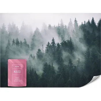 Fototapeta FOTOTAPETA DO OBÝVACÍHO POKOJE LOŽNICE LES V MLZE KRAJINA PŘÍRODA 90x60