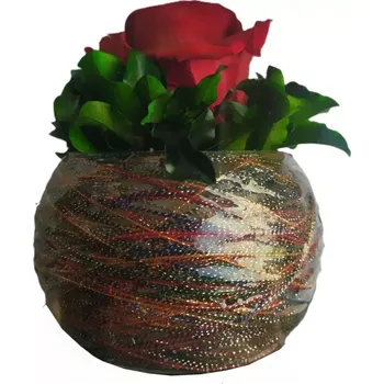 Aranže stabilizovaná růže Lisa