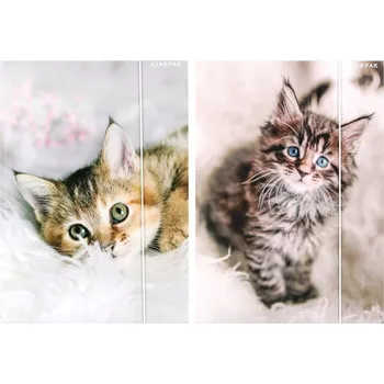 Školní desky A4 s gumou Starpak Cuties koťátka 1 kus