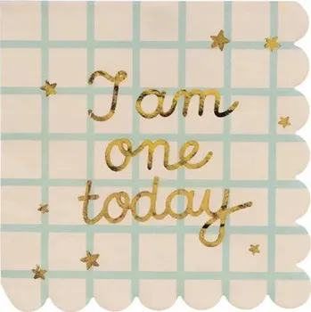 Papírový ubrousek Papírové ubrousky "Medvídek - První Narozeniny", béžové, PartyDeco, 33 cm, 12 ks