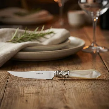 Příbor Steakový nůž z nerezové oceli BUGATTI ALADDIN