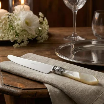 Příbor BUGATTI Oxford Ivory 24,5 cm - stolní nůž z nerezové oceli