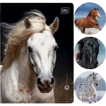 Sešit Sešit A5, 3 linky, Interdruk, 16 listů