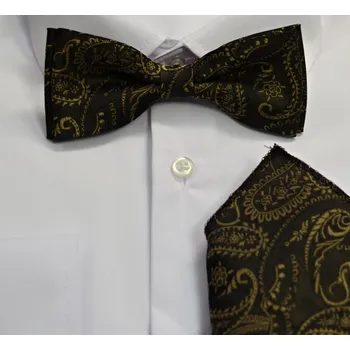 Motýlek Pánský motýlek s kapesníkem M5 - vzor 149