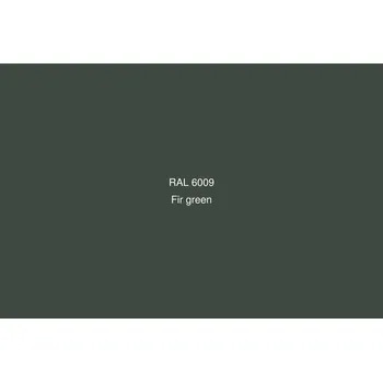 Ředidlo Akrylový autolak RAL6009 100ml APP + ředidlo a tužidlo