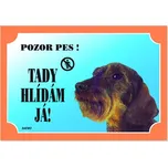 Dafiko Cedulka jezevčík hrubosrstý