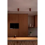 STAN stropní svítidlo, terakota - FARO