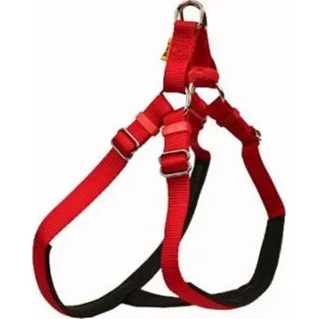 Postroj pro psa B+F Postroj popruh 2,0cm č.3-4 červený jedn.podšitý