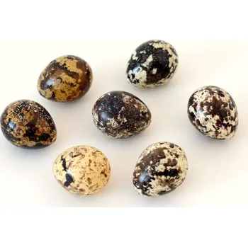 Velikonoční dekorace Plastové křepelčí vajíčko 3,5 cm