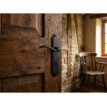 Dveřní kování Dveřní klika na štítu BETA 488PL černá