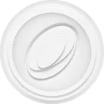 Svítidlo stropní ORION WALP08RB/LED