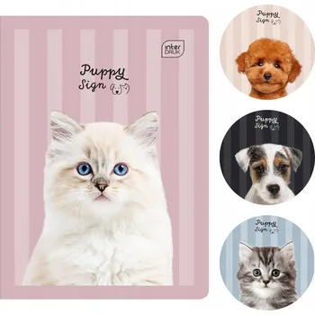 Sešit Sešit A5 s linkami Interdruk, 32 listů