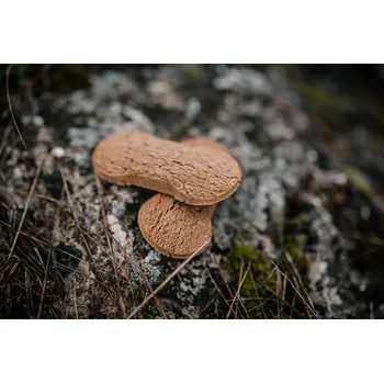 Pamlsek pro psa Sušenky bezlepkové RYBÍ Hmotnost: 500 g