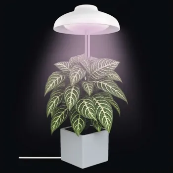 Lampička EMOS Z7901 LED GROW pěstební lampa 5 W, časovač, bílá