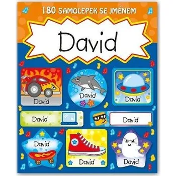 samolepka ARGUS Veselé nálepky samolepky se jménem David 11140087