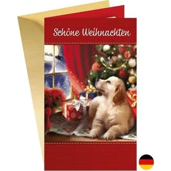 ARGUS Vánoční přání s kapsou na peníze DE 11-6201n