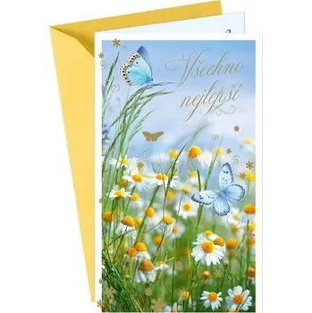 ARGUS Přání k narozeninám nebo k svátku 55-605c