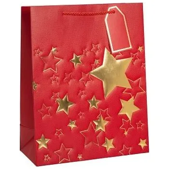 Dárková taška ARGUS Dárková papírová taška (26 x 32 cm) 08599902