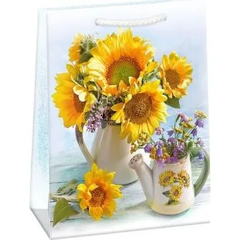 Dárková taška ARGUS Dárková papírová taška (29 x 38 cm) 07870771