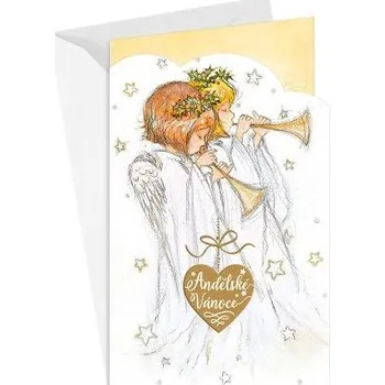 ARGUS Vánoční přání s kapsou na peníze 11-6469c