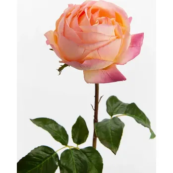 umělá květina Umělá květina home & lifestyle 52 cm 149314 oranžová 22X