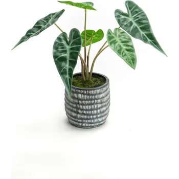 umělá květina Umělá rostlina v květináči home & lifestyle 30 x 27 cm 155816 zelená 77X