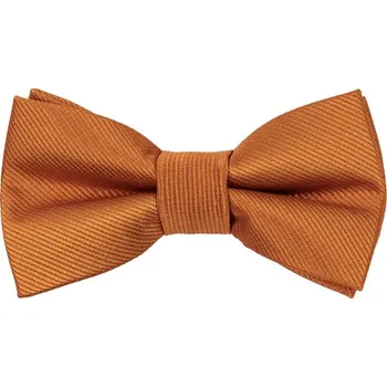 Motýlek Bubibubi Oranžový dětský motýlek Terra